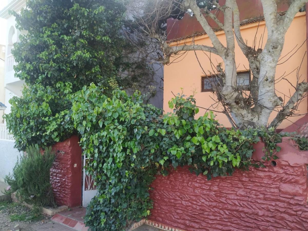 Dar El Pirata Hostel Asilah Exterior photo